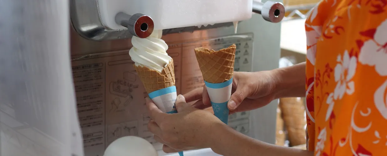 August 19 - Soft Serve Ice Cream Day