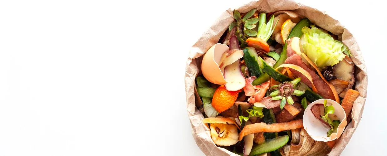 September 29 – International Day of Awareness of Food Loss and Waste