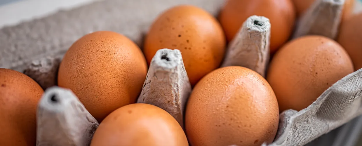 Eggs